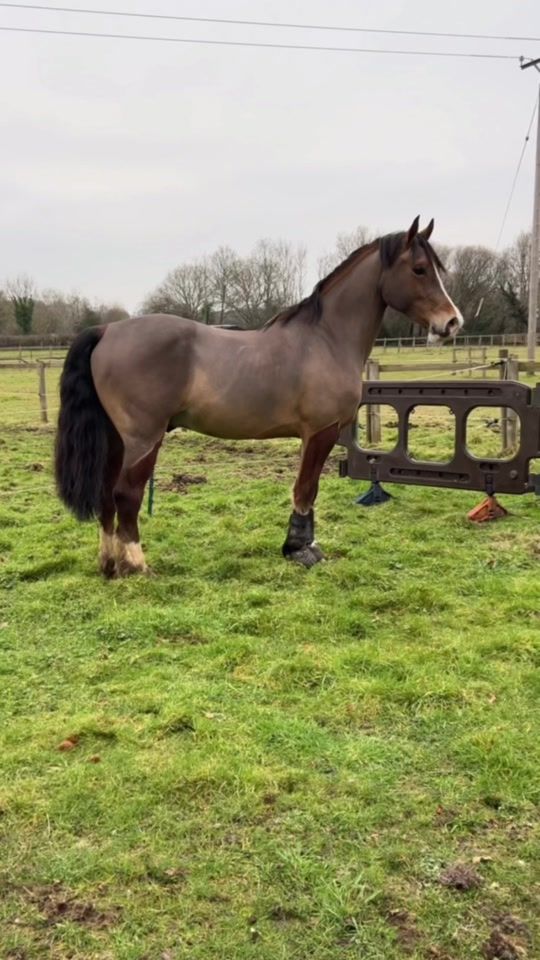 TikTok video thumbnail by lilia.eq