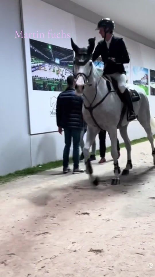 TikTok video thumbnail by equistrian.noami