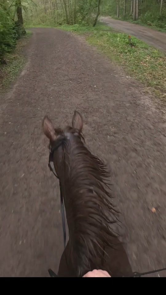 TikTok video thumbnail by davesylvana