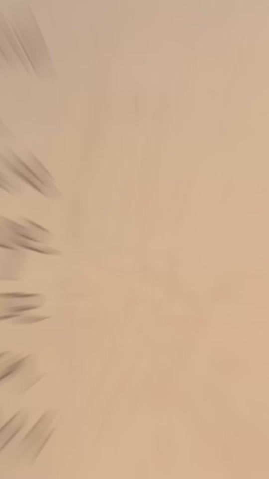 TikTok video thumbnail by pooortugal