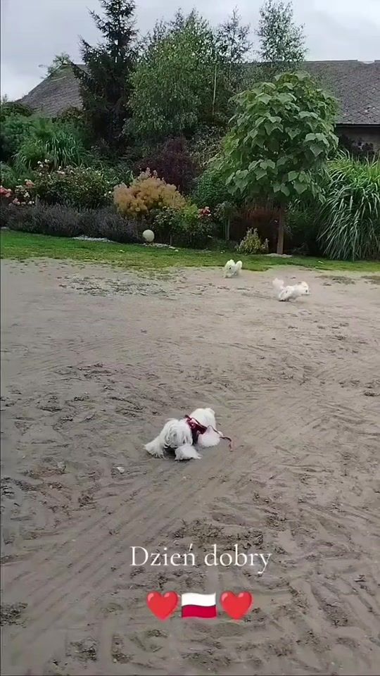 TikTok video thumbnail by halina.p25