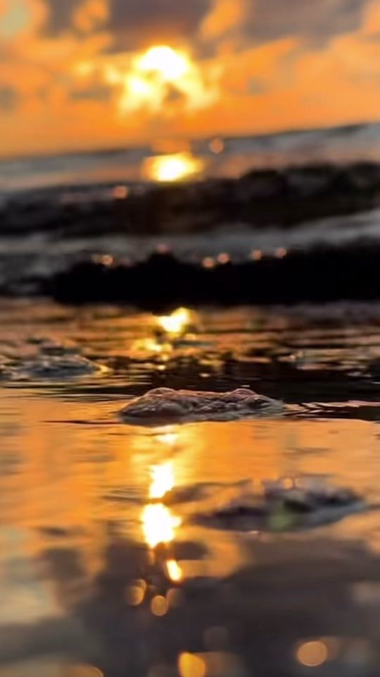 TikTok video thumbnail by brauliosanchezmor