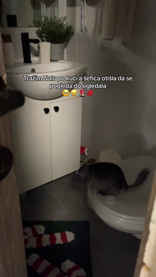 TikTok video thumbnail by beganovicsara