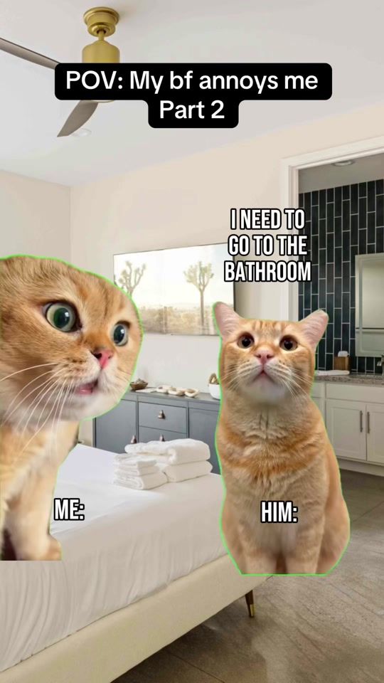 TikTok video thumbnail by notreallyrick