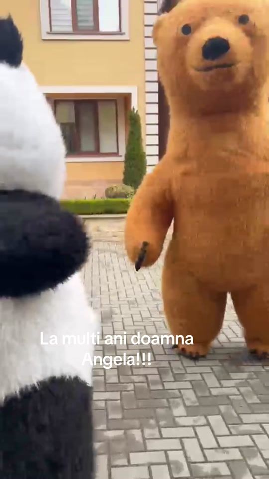 TikTok video thumbnail by zinaidastefane