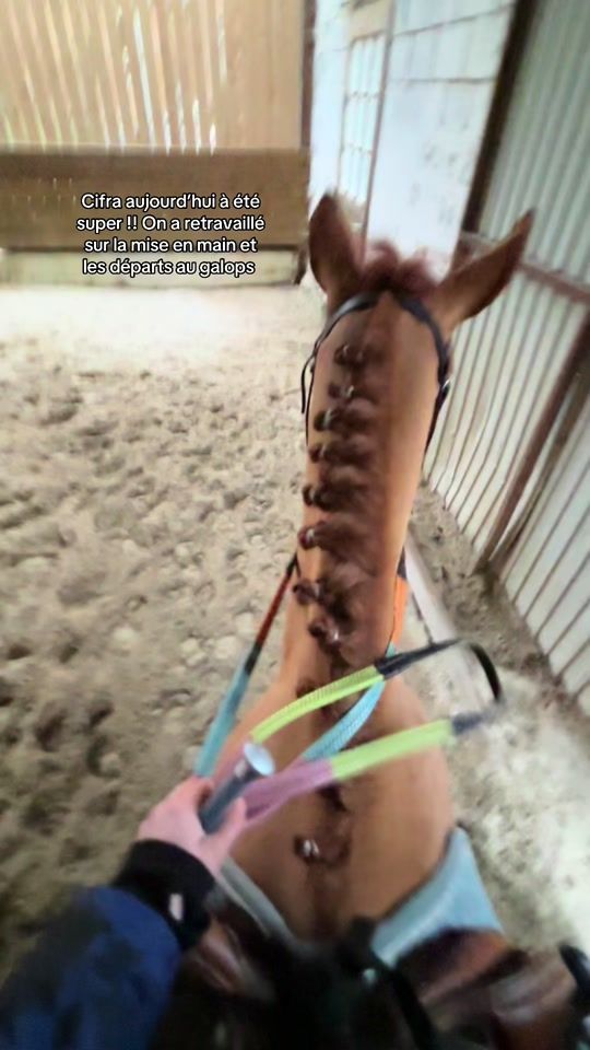 TikTok video thumbnail by jsxt.h09