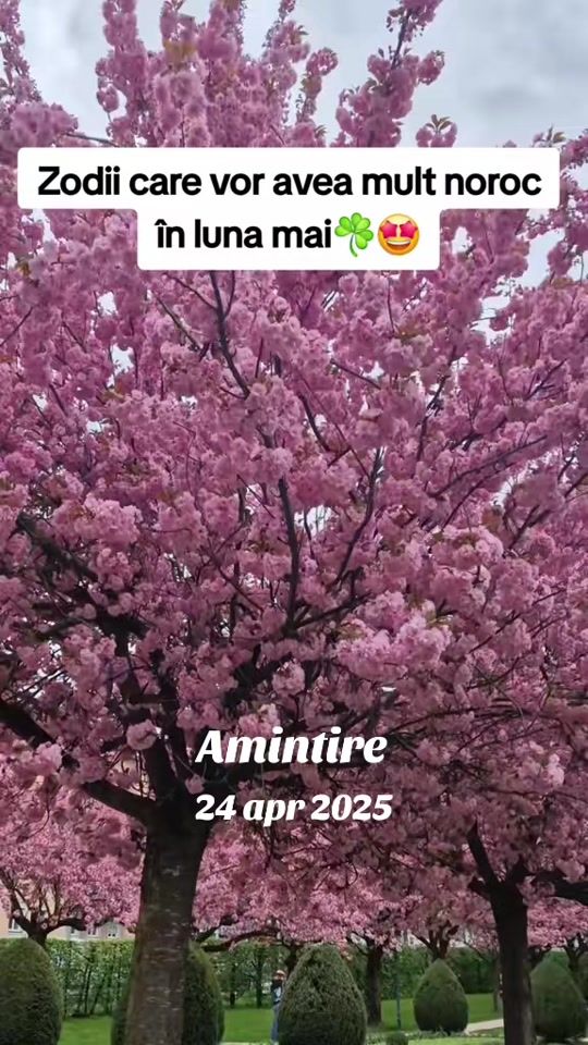 TikTok video thumbnail by grg.cataleya