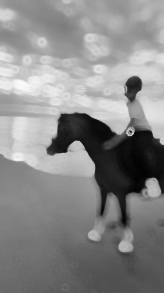 TikTok video thumbnail by steffie.silke.teamb