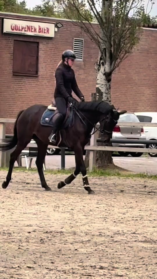 TikTok video thumbnail by equiijumper