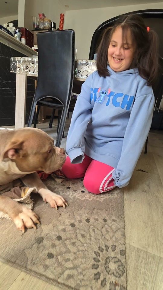 TikTok video thumbnail by team_bullys