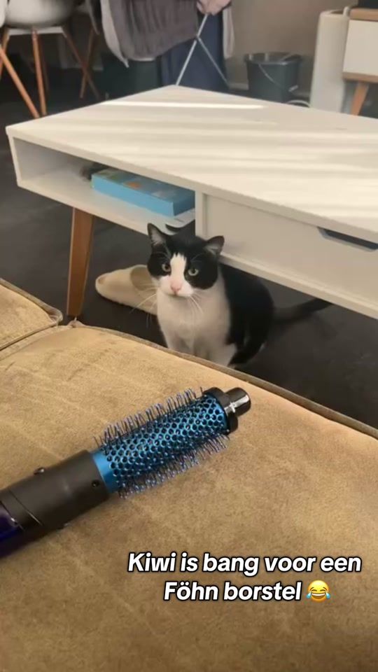 TikTok video thumbnail by lucc_vdb