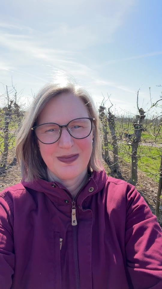 TikTok video thumbnail by sandrahoeper30