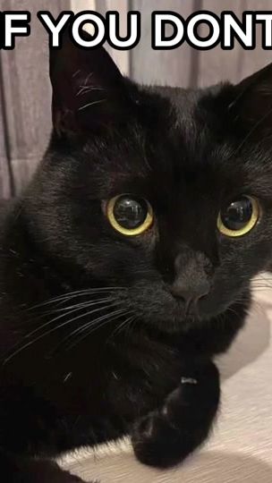 TikTok video thumbnail by monsteraus