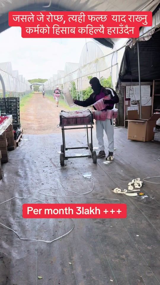 TikTok video thumbnail by reetu.kecy