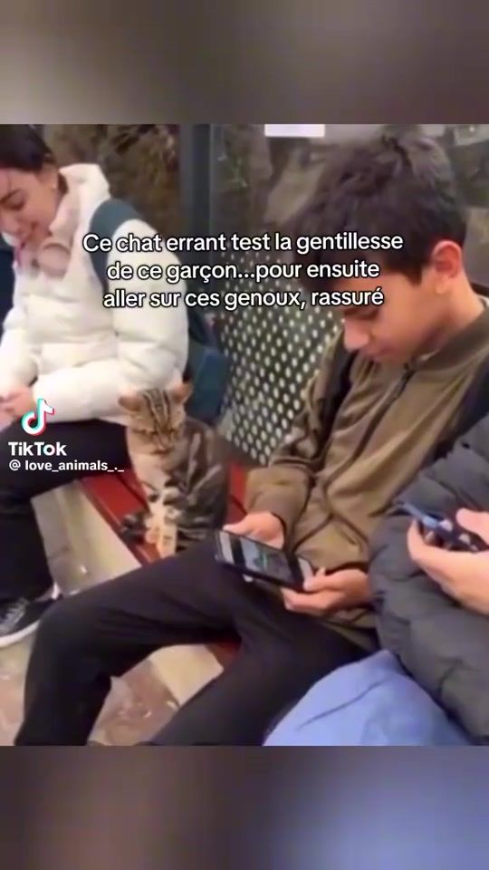 TikTok video thumbnail by paradisio.mass