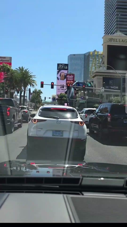 TikTok video thumbnail by mootjer4