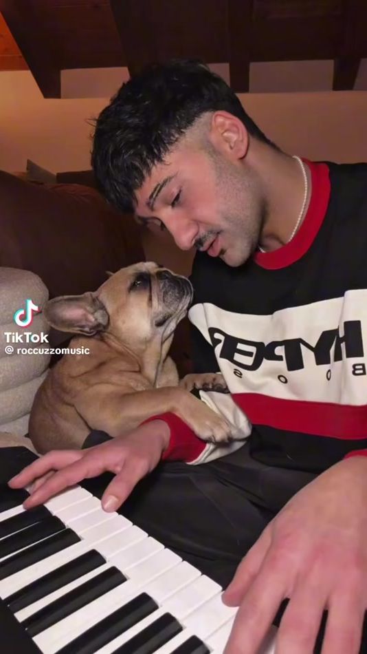 TikTok video thumbnail by lesacromena