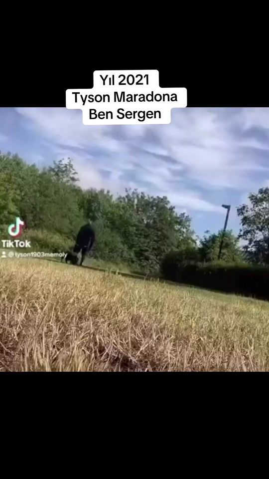 TikTok video thumbnail by tyson_memoly79