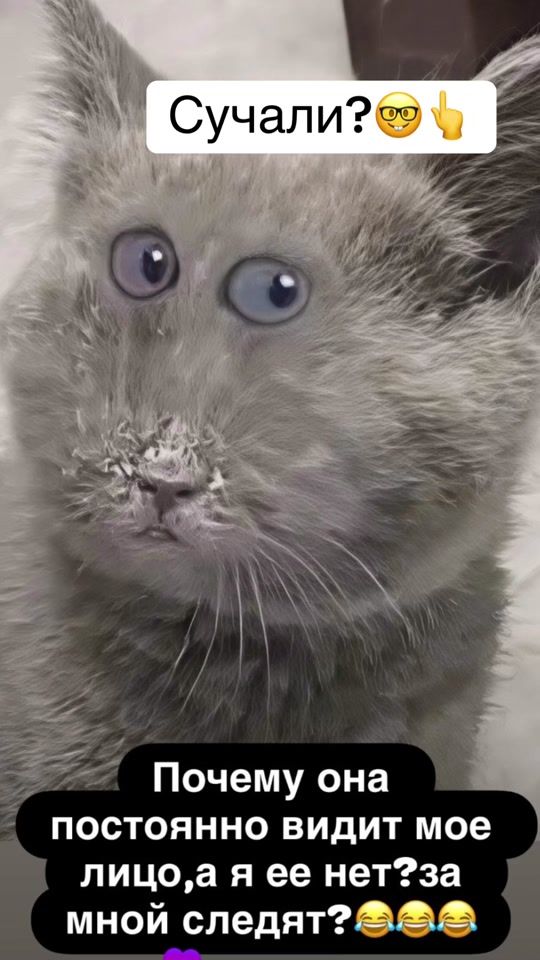 TikTok video thumbnail by seryikoshka