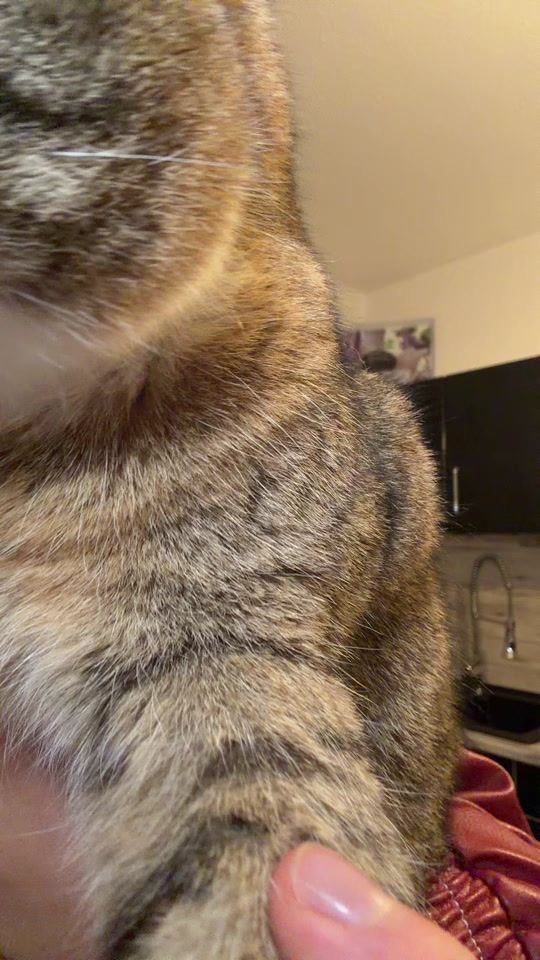 TikTok video thumbnail by chantall.smd