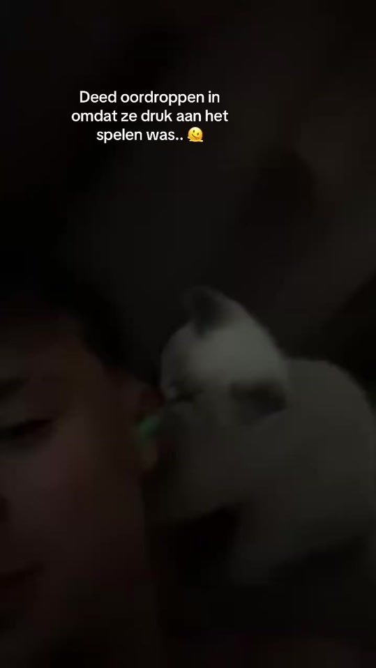 TikTok video thumbnail by lucc_vdb