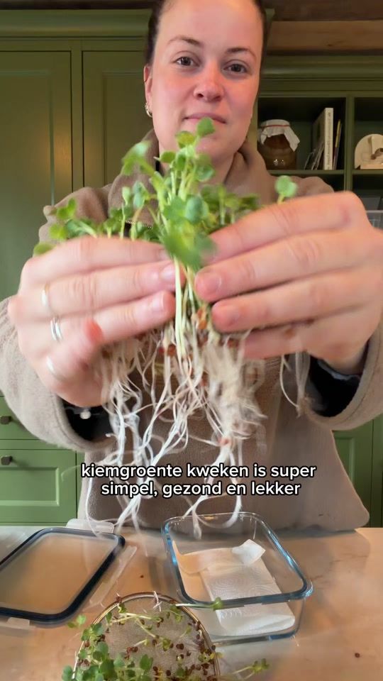 TikTok video thumbnail by groenemuts