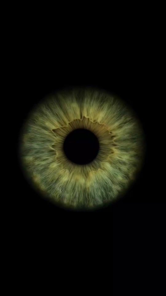 TikTok video thumbnail by secretacc67bro