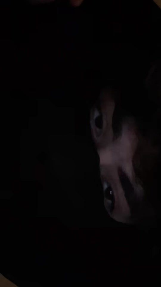 TikTok video thumbnail by nj_alex2