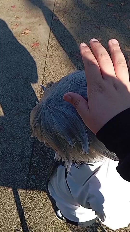 TikTok video thumbnail by beca_cosplay
