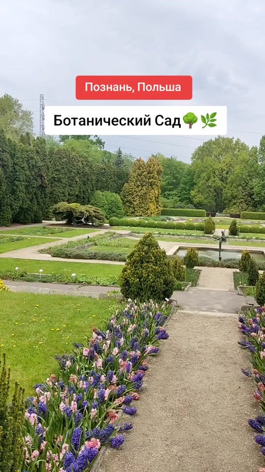 TikTok video thumbnail by dima_kesh_official