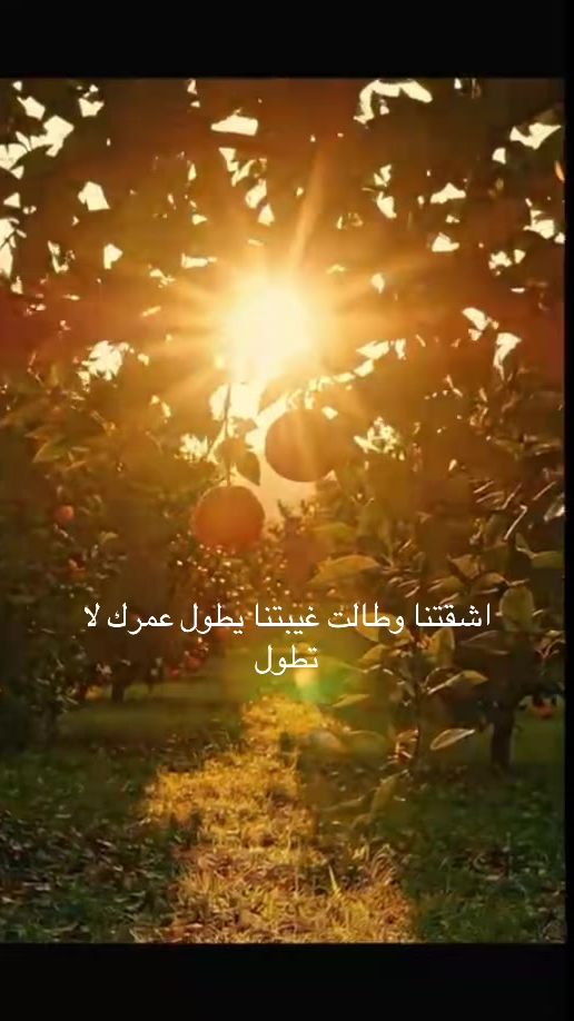 TikTok video thumbnail by mahaalkhateeb0