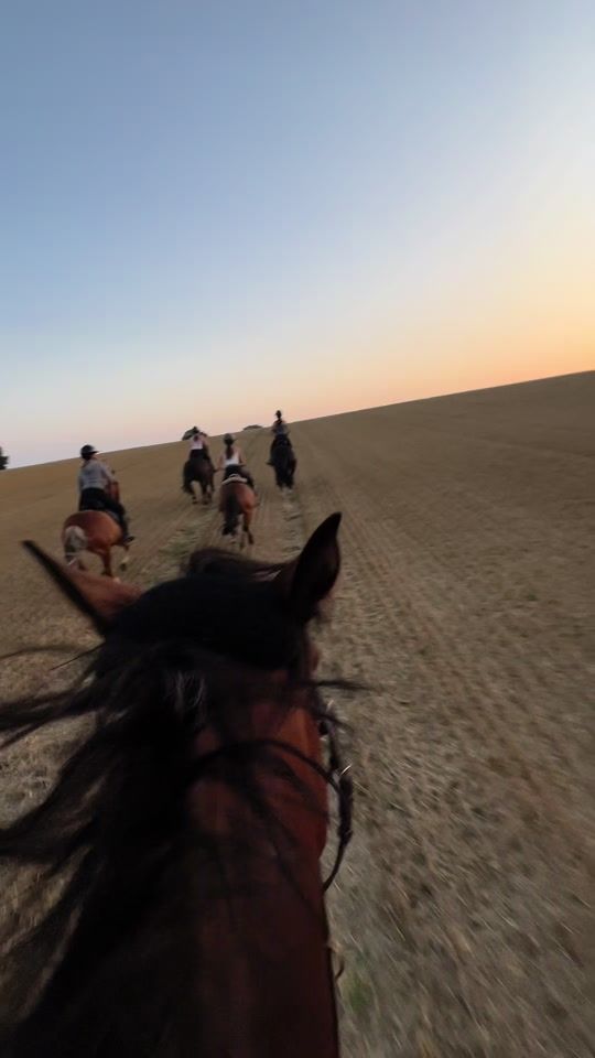 TikTok video thumbnail by hannahmarie_gruenwdlt