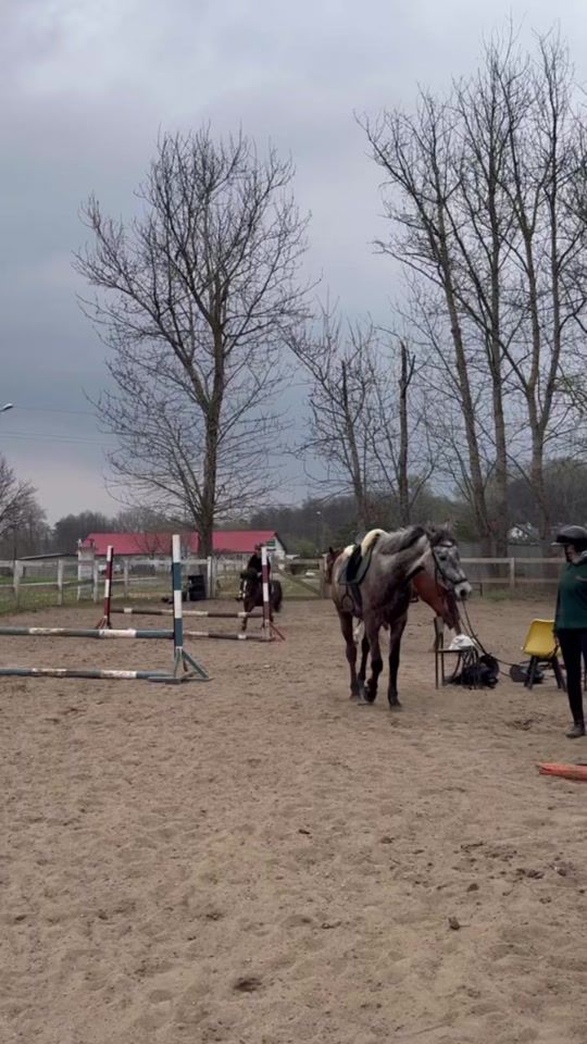 TikTok video thumbnail by drobna.equestrian