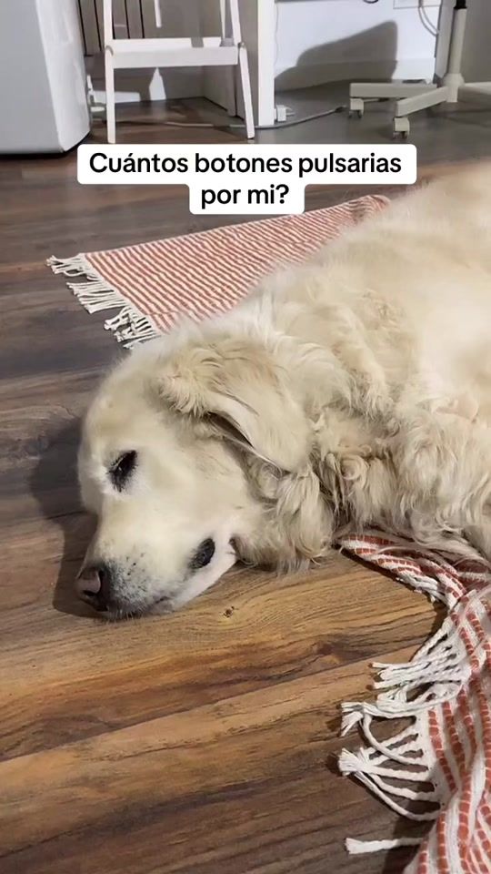 TikTok video thumbnail by cooperlopeta