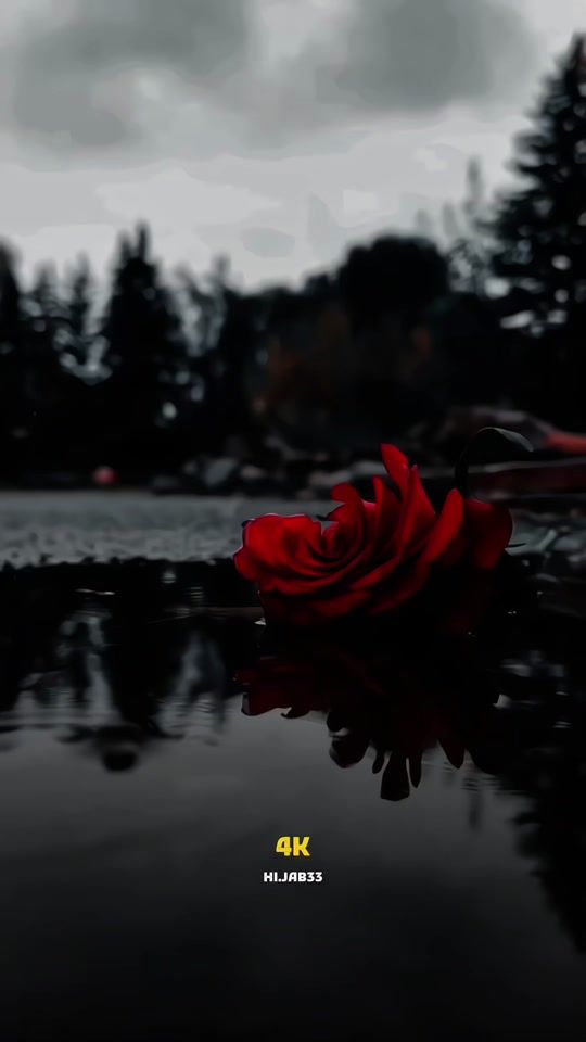 TikTok video thumbnail by hi.jab33