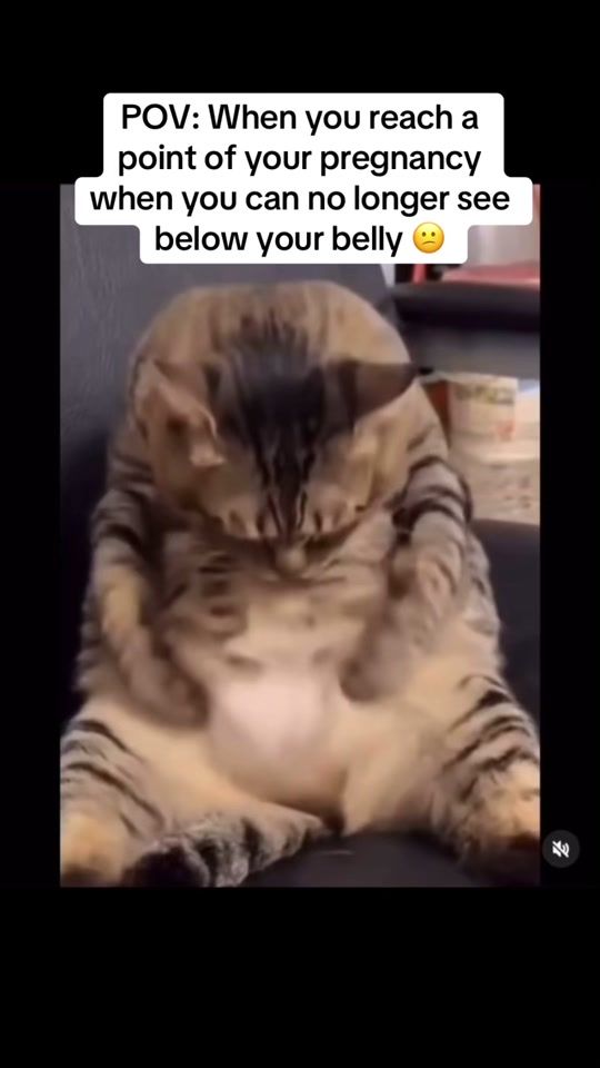 TikTok video thumbnail by hiris_here