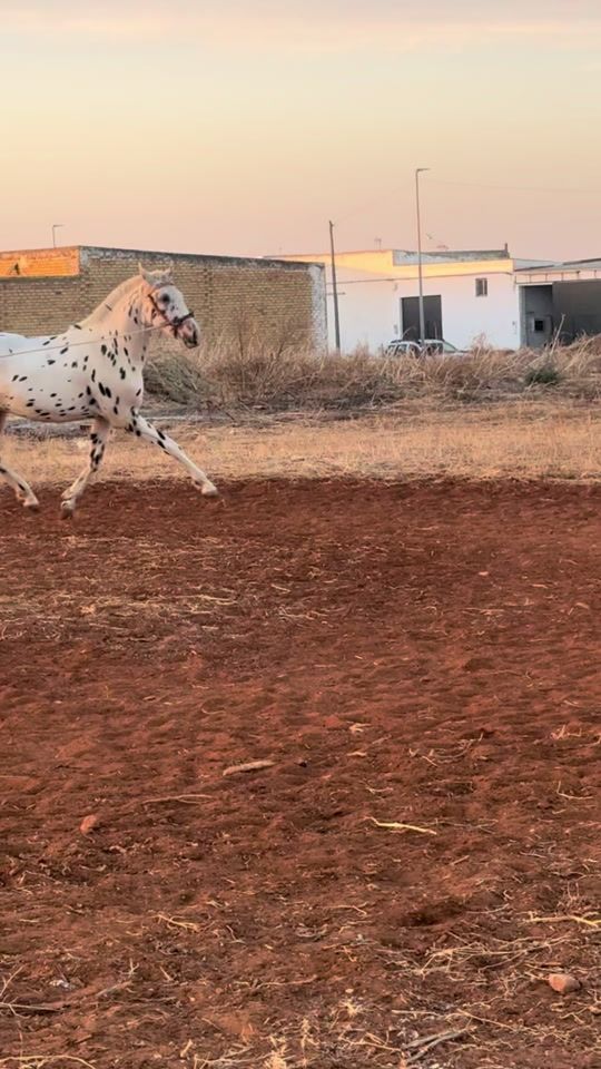 TikTok video thumbnail by sara_rs16