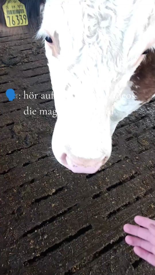 TikTok video thumbnail by justus.landwirt