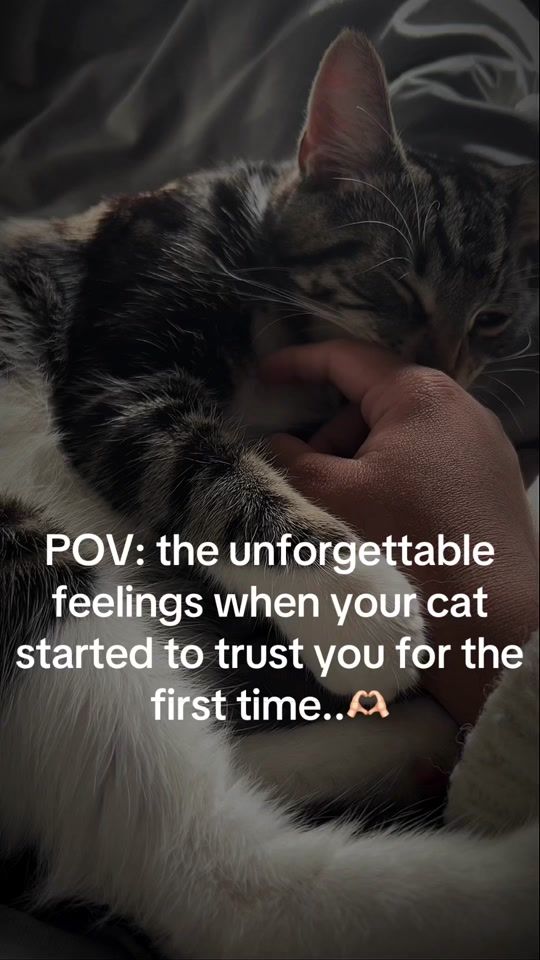 TikTok video thumbnail by miah20073