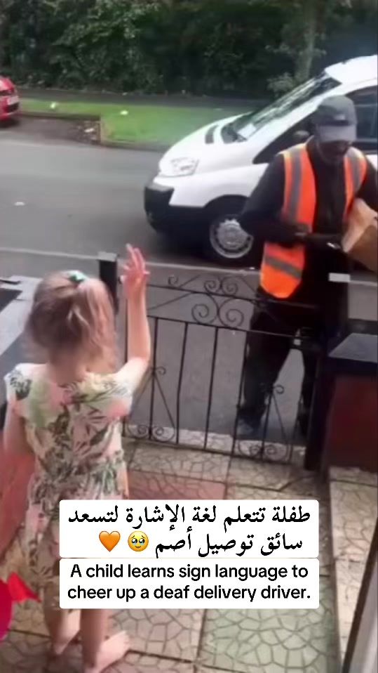TikTok video thumbnail by iq_nl_