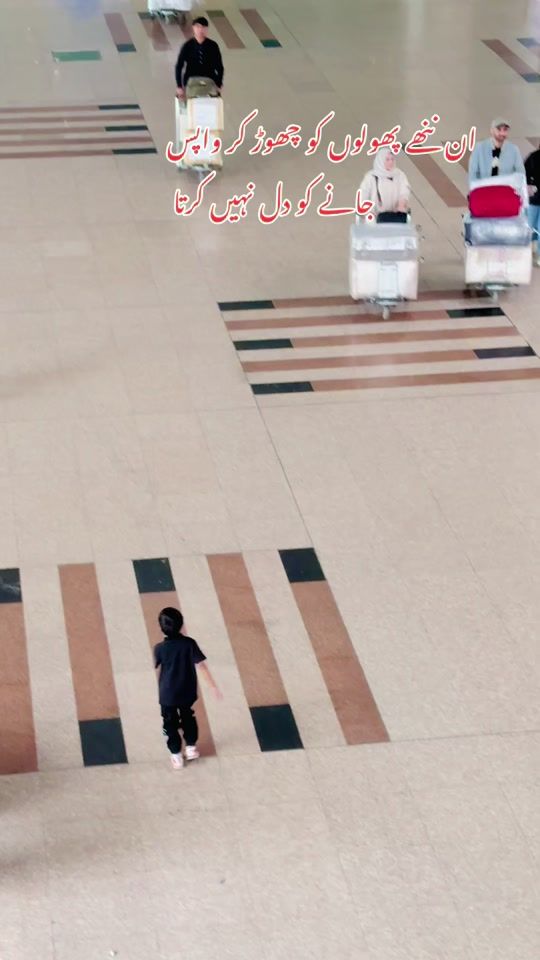 TikTok video thumbnail by airport.vibes8