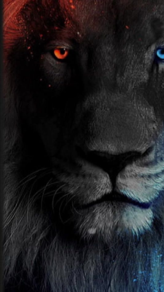 TikTok video thumbnail by the.lord.09