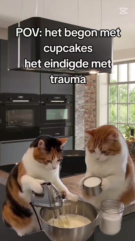 TikTok video thumbnail by potjelachen