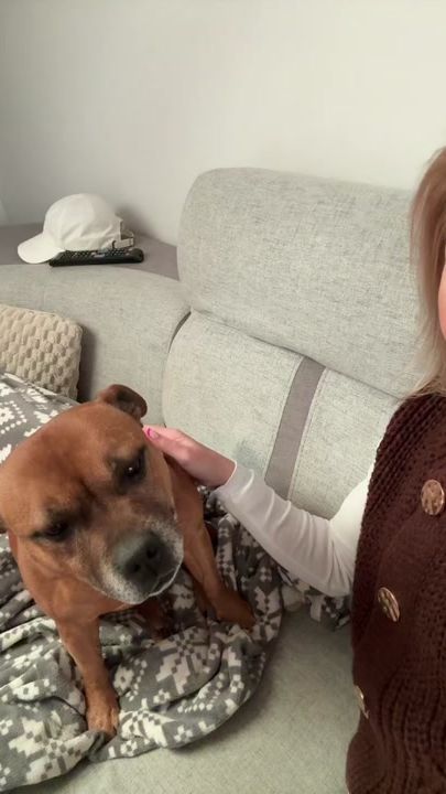 TikTok video thumbnail by staffiksalsa