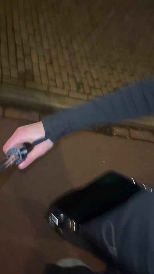 TikTok video thumbnail by annefleurhagens