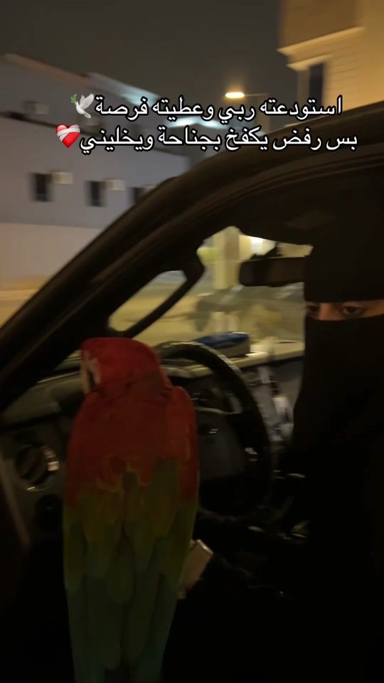 TikTok video thumbnail by me3ad_f16