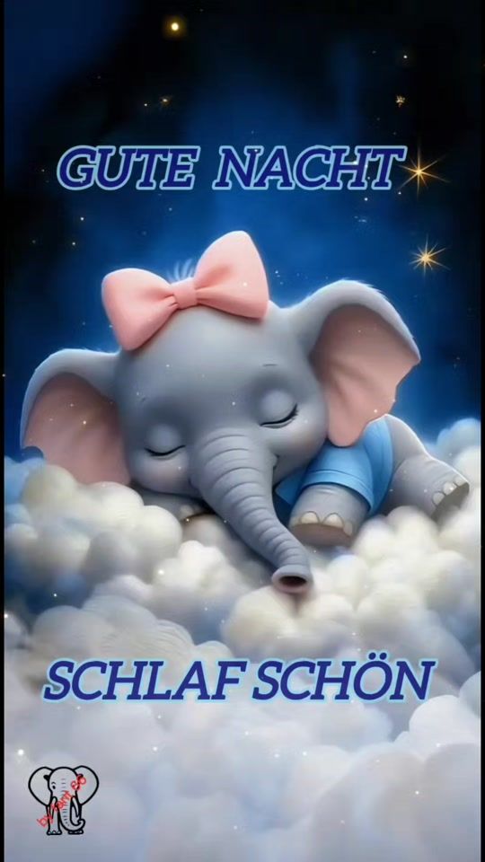 TikTok video thumbnail by gerhardhally