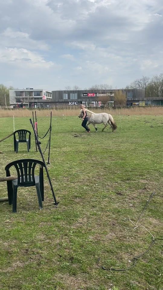 TikTok video thumbnail by equi_santje1