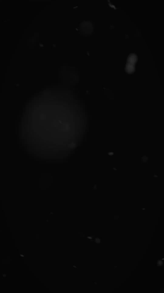 TikTok video thumbnail by thura.gh