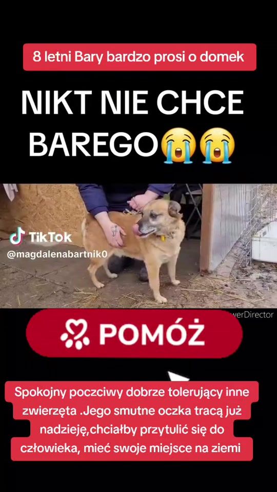 TikTok video thumbnail by iwka.pol111